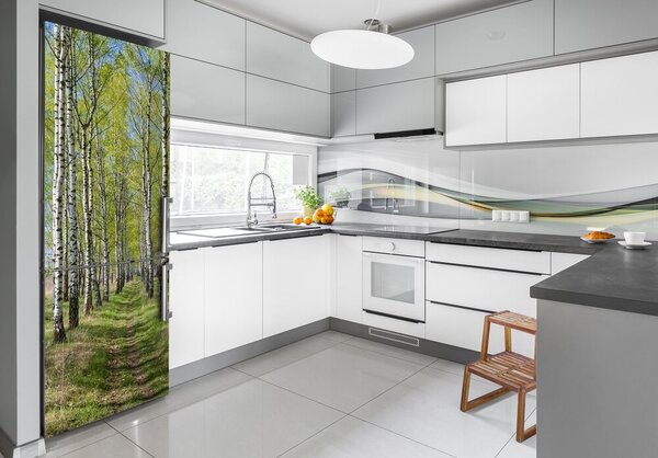 Nálepka na ledničku samolepící Břízový les FridgeStick-70x190-f-102231208