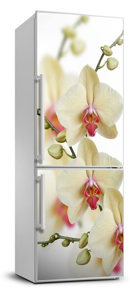 Nálepka fototapeta lednička Orchidej FridgeStick-70x190-f-102443917