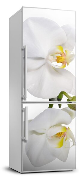 Nálepka fototapeta lednička Bílá orchidej FridgeStick-70x190-f-103920801