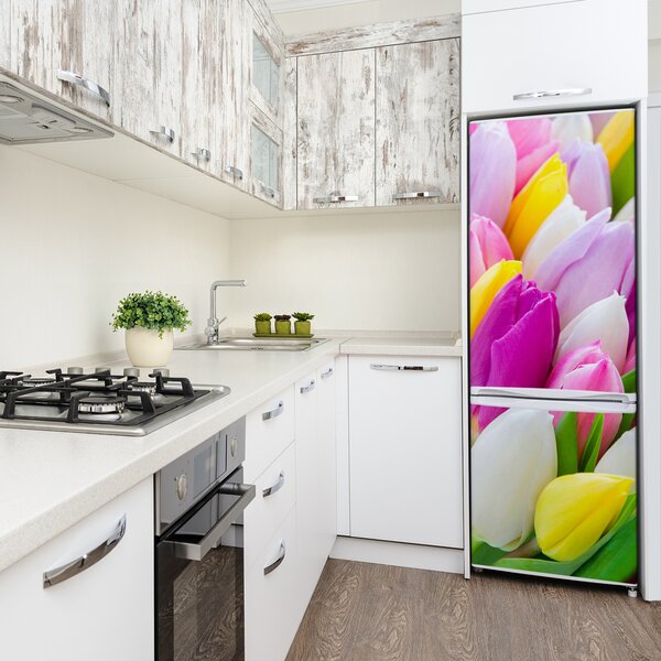 Foto nálepka na ledničku Barevné tulipány FridgeStick-70x190-f-104468261
