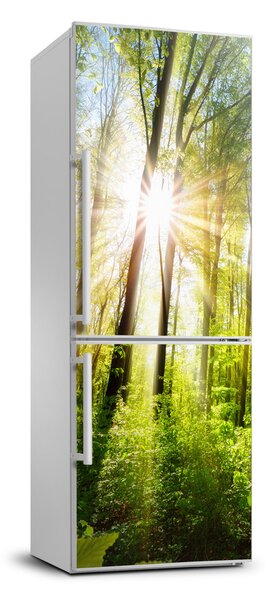 Nálepka na ledničku Slunce v lese FridgeStick-70x190-f-105833930