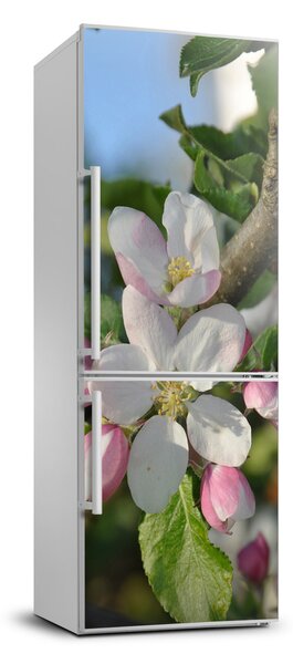 Samolepící nálepka na ledničku Květy višně FridgeStick-70x190-f-106222924