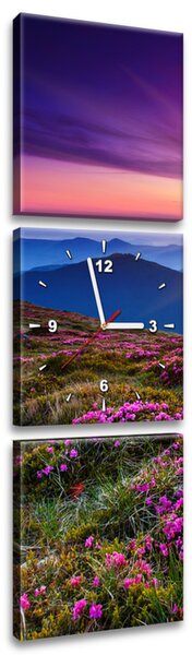 Obraz s hodinami Horská louka - 3 dílný Rozměry: 30 x 90 cm