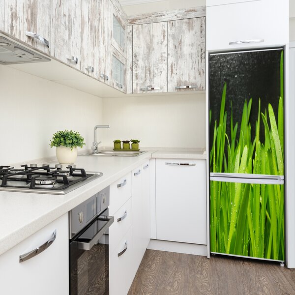 Foto nálepka tapeta lednička Stébla trávy FridgeStick-70x190-f-108879645