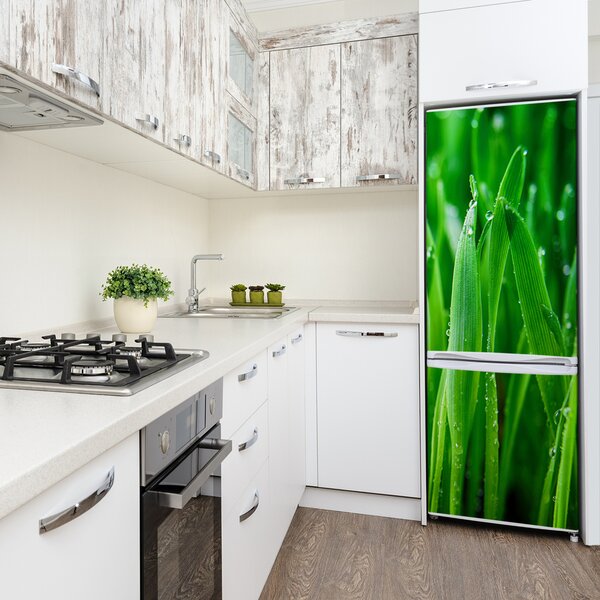 Foto nálepka tapeta lednička Stébla trávy FridgeStick-70x190-f-109527369