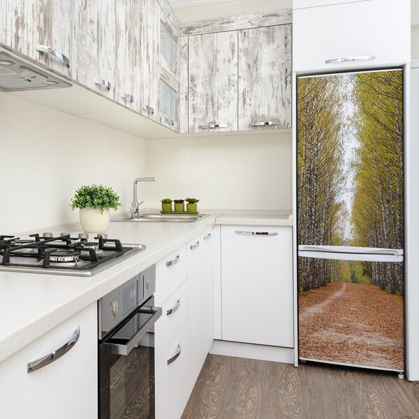Nálepka na ledničku samolepící Břízový les FridgeStick-70x190-f-111097387