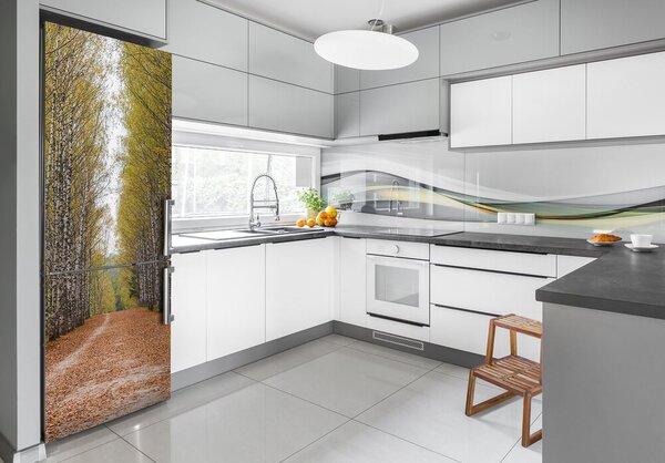 Nálepka na ledničku samolepící Břízový les FridgeStick-70x190-f-111097387