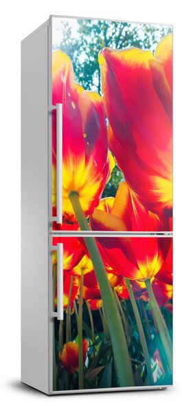 Nálepka fototapeta na ledničku Tulipány FridgeStick-70x190-f-113693972