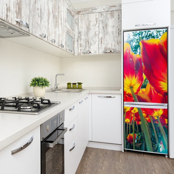 Nálepka fototapeta na ledničku Tulipány FridgeStick-70x190-f-113693972