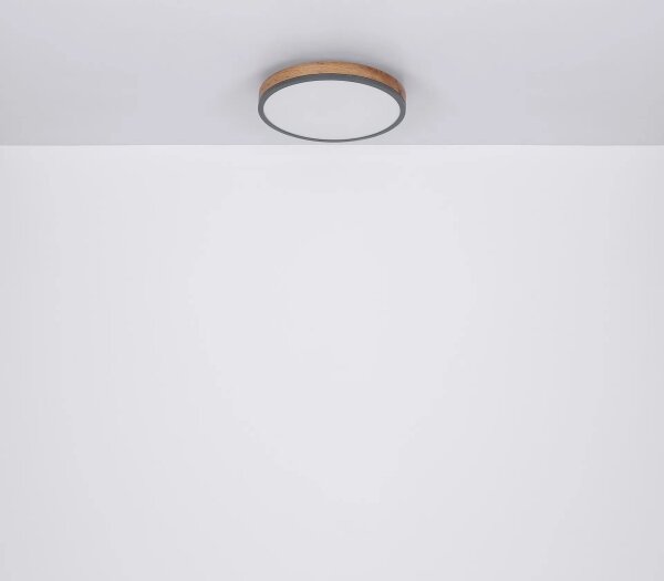 Globo 416080WD4R-CCT - LED Stmív. stropní DORO LED/40W/230V 2700-6500K + DO