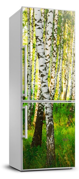 Nálepka na ledničku samolepící Břízový les FridgeStick-70x190-f-116168372