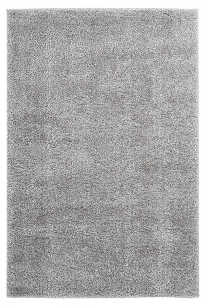 Obsession koberce Kusový koberec Emilia 250 silver - 200x290 cm