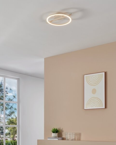 Eglo 901114 - LED Stmívatelné stropní svítidlo AMANDOLO LED/17W/230V bílá + DO
