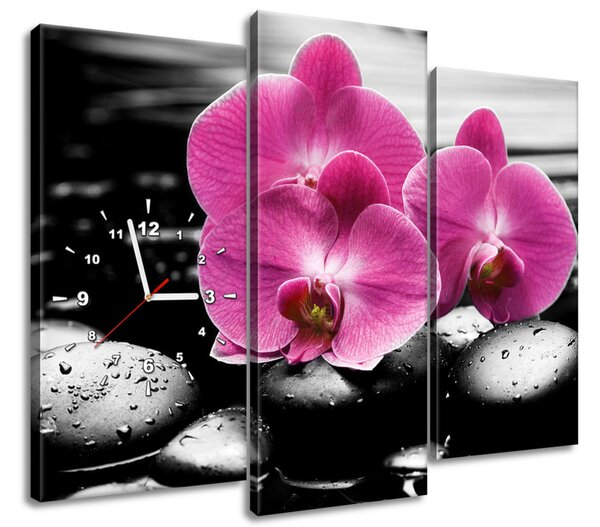 Obraz s hodinami Krásná orchidej mezi kameny - 3 dílný Rozměry: 90 x 70 cm