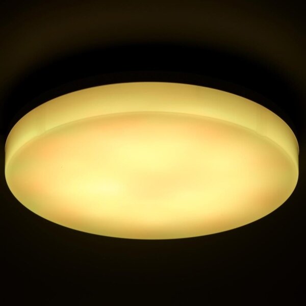 Retlux- LED RGBW Stmívatelné koup. stropní svítidlo LED/20W/230V Wi-Fi IP44 bílá