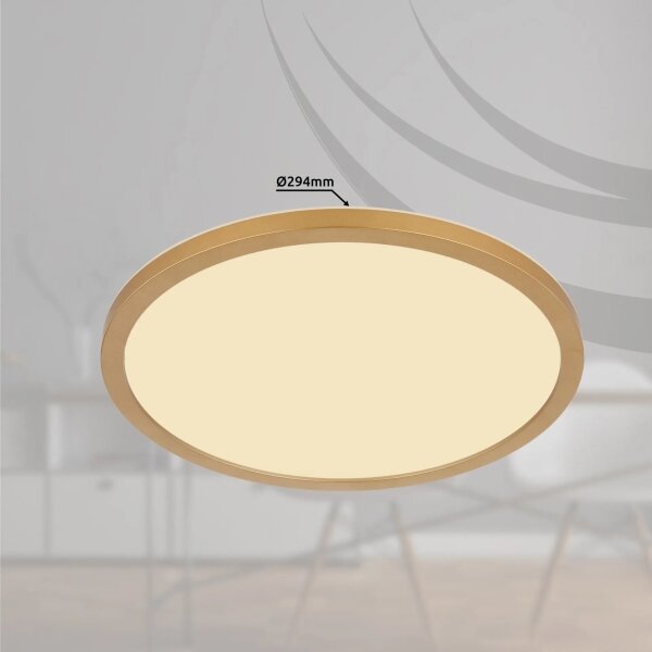 Globo 41562-18MM - LED Stm. strop. svítidlo SAPANA LED/18W/230V IP44