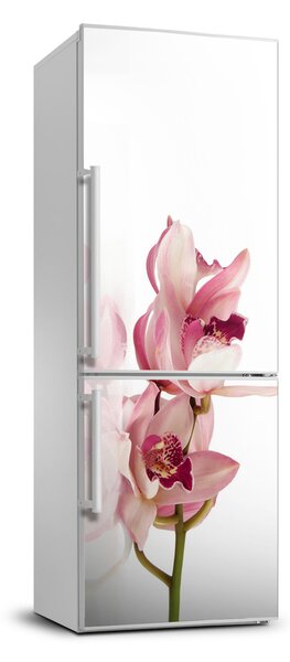 Foto tapeta na ledničku Růžová orchidej FridgeStick-70x190-f-18886978