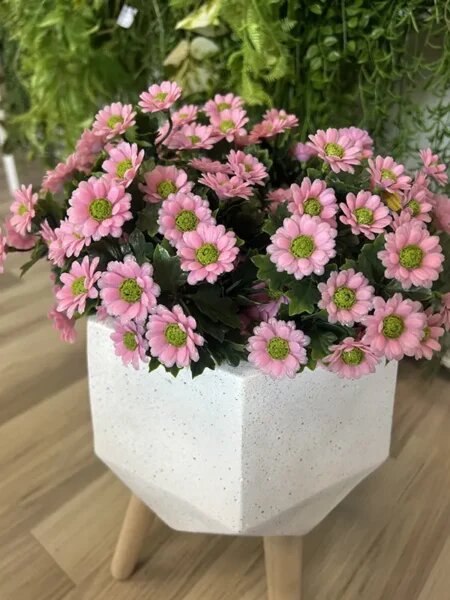 Umělá sedmikráska Daisy UV růžová 28 cm - Růžová - 0 - 30cm - Ano