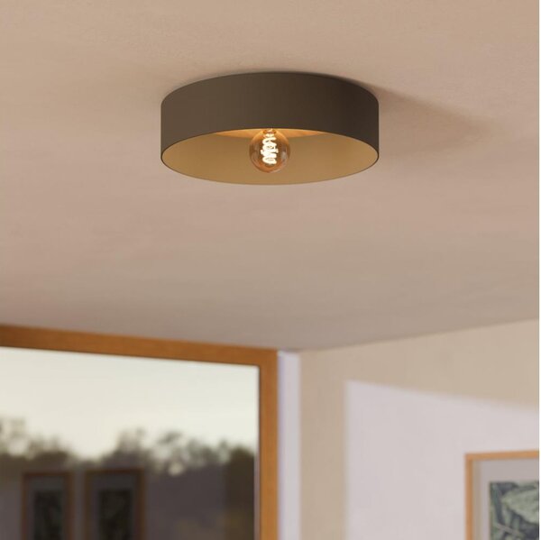 Eglo 901745 - Stropní svítidlo DUAIA 1xE27/40W/230V šedá