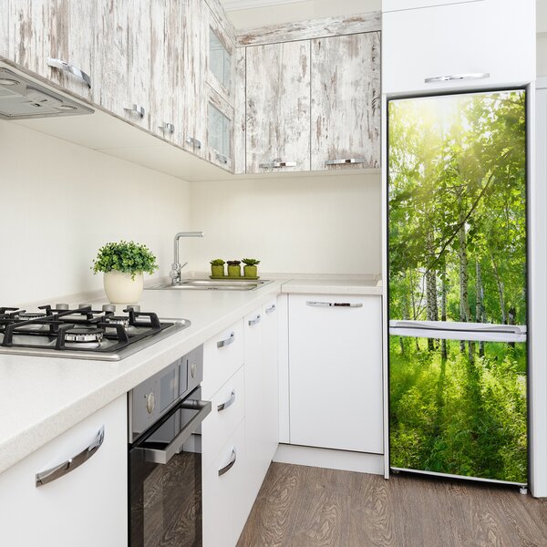 Nálepka fototapeta na ledničku Břízový les FridgeStick-70x190-f-42305508