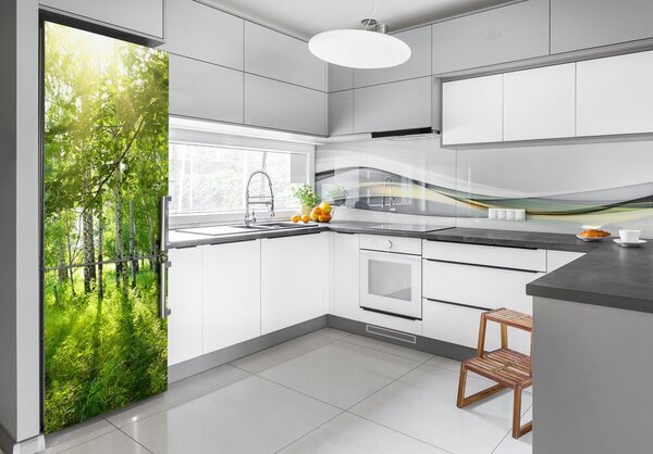 Nálepka fototapeta na ledničku Břízový les FridgeStick-70x190-f-42305508