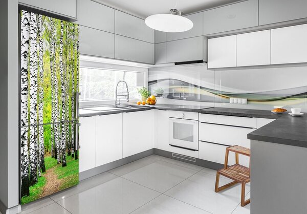 Nálepka fototapeta na ledničku Břízový les FridgeStick-70x190-f-45594728