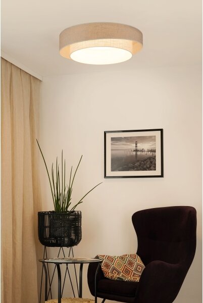 Brilagi - LED Stropní svítidlo DOVER SHINE LED/26W/230V pr. 60 cm šedá/krémová