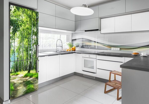 Nálepka fototapeta na ledničku Břízový les FridgeStick-70x190-f-66218016