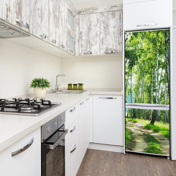 Nálepka fototapeta na ledničku Břízový les FridgeStick-70x190-f-66218016