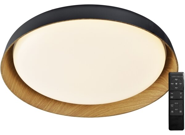 Top Light-LED Stm. stropní svítidlo SATELLITE LED/36W/230V 3000-6500K černá + DO