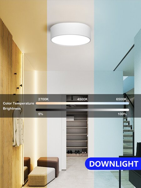 Immax NEO RONDATE SLIM Smart stropní svítidlo 25 x 7cm 18W bílé Zigbee 3.0