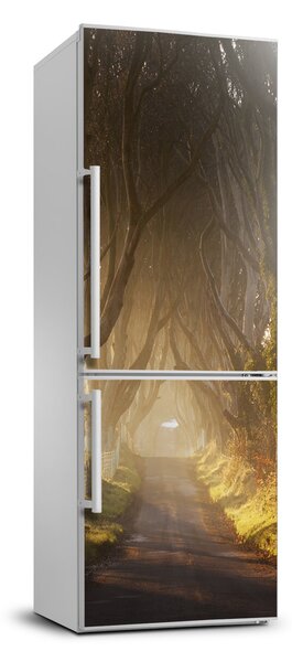 Nálepka tapeta na ledničku Stezka v lese FridgeStick-70x190-f-68778372