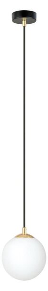 Lustr na lanku ROYAL 1xE14/10W/230V pr. 14 cm černá
