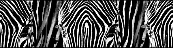 Samolepící bordura na zeď Zebra | 5 m x 13.8 cm | DWB8205