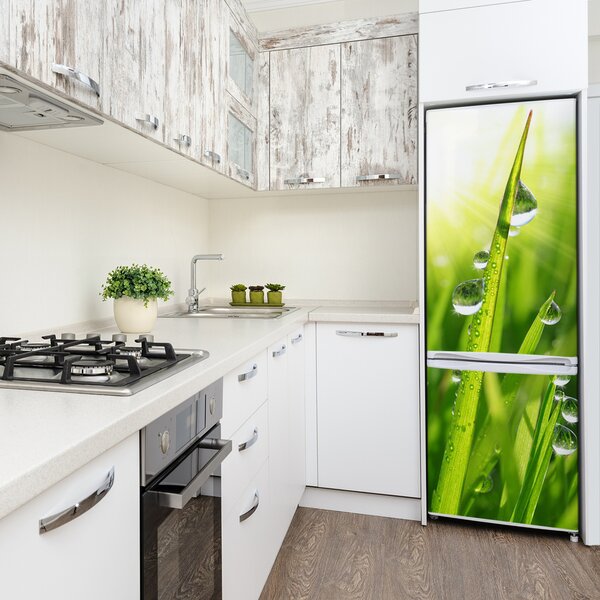 Samolepící nálepka fototapeta Stébla trávy FridgeStick-70x190-f-71116583