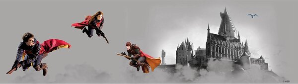 Dětská samolepící bordura na zeď Harry Potter | 5 m x 9.7 cm | DWBD8143