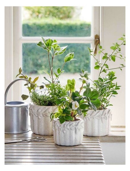 Kameninový květináč Cetara Rustic White 15 cm Garden Trading