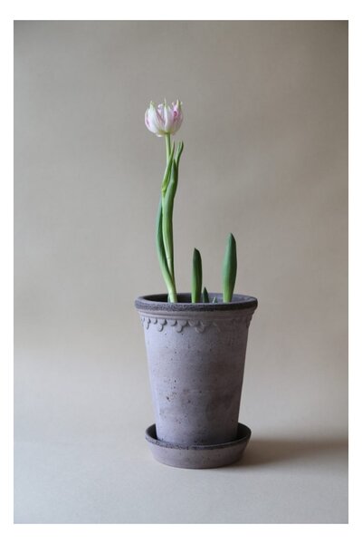 Květináč Kobenhavner s podmiskou Grey Tall 14 cm Bergs Potter