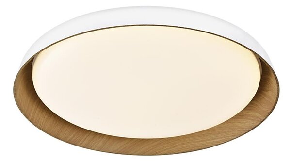 Top Light-LED Stm. stropní svítidlo SATELLITE LED/48W/230V 3000-6500K bílá + DO