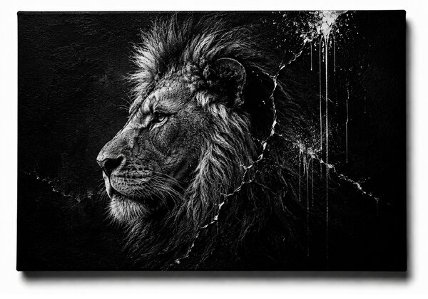 KRAFTHOUSE.EU Lion | 100% bavlna | Různé rozměry Velikost: 40 x 30 cm