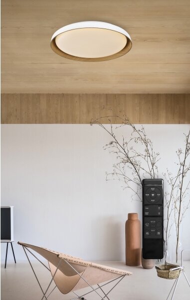 Top Light-LED Stm. stropní svítidlo SATELLITE LED/48W/230V 3000-6500K bílá + DO