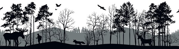 Samolepící bordura na zeď Lesní Silueta | 5 m x 13.8 cm | DWB8269