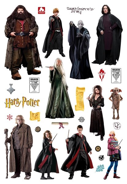 Dětská samolepka na zeď Harry Potter | 42.5 x 65 cm | DDK1643