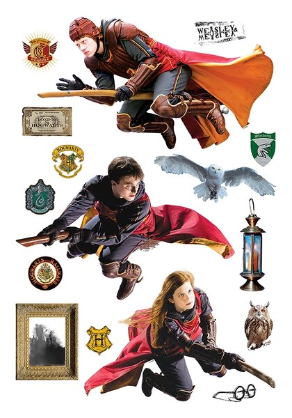 Dětská samolepka na zeď Harry Potter | 42.5 x 65 cm | DDK1645