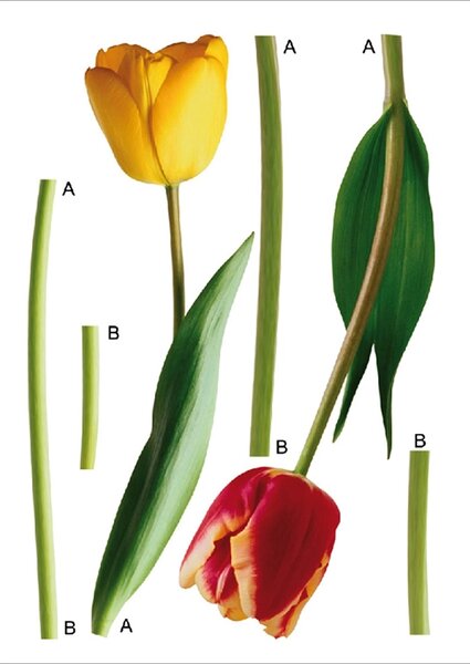 Samolepka na zeď Tulipány | 65 x 85 cm | DF0401