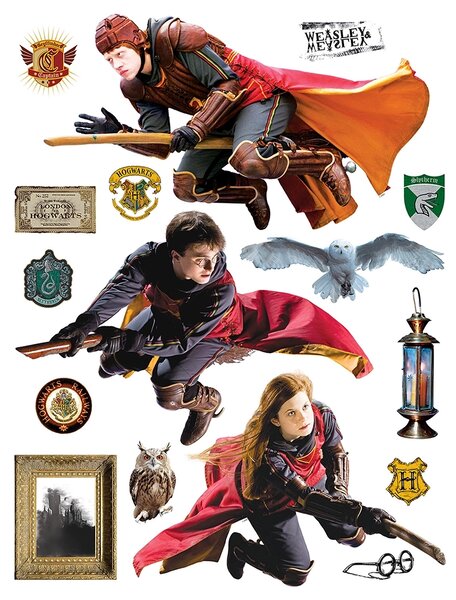 Dětská samolepka na zeď Harry Potter | 65 x 85 cm | DDK2339