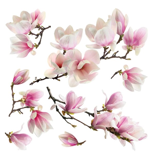 Samolepka na zeď Sakura | 30 x 30 cm | DSS3879