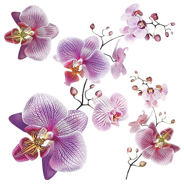 Samolepka na zeď Orchideje | 30 x 30 cm | DSS3859