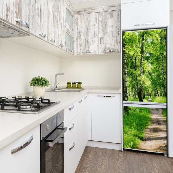 Nálepka fototapeta na ledničku Břízový les FridgeStick-70x190-f-78692232