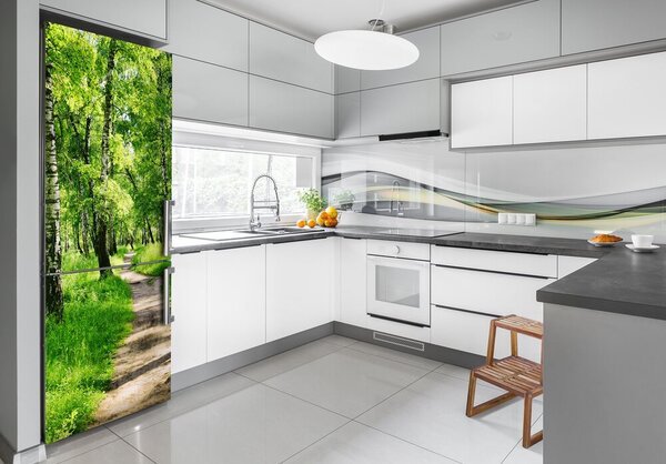Nálepka fototapeta na ledničku Břízový les FridgeStick-70x190-f-78692232